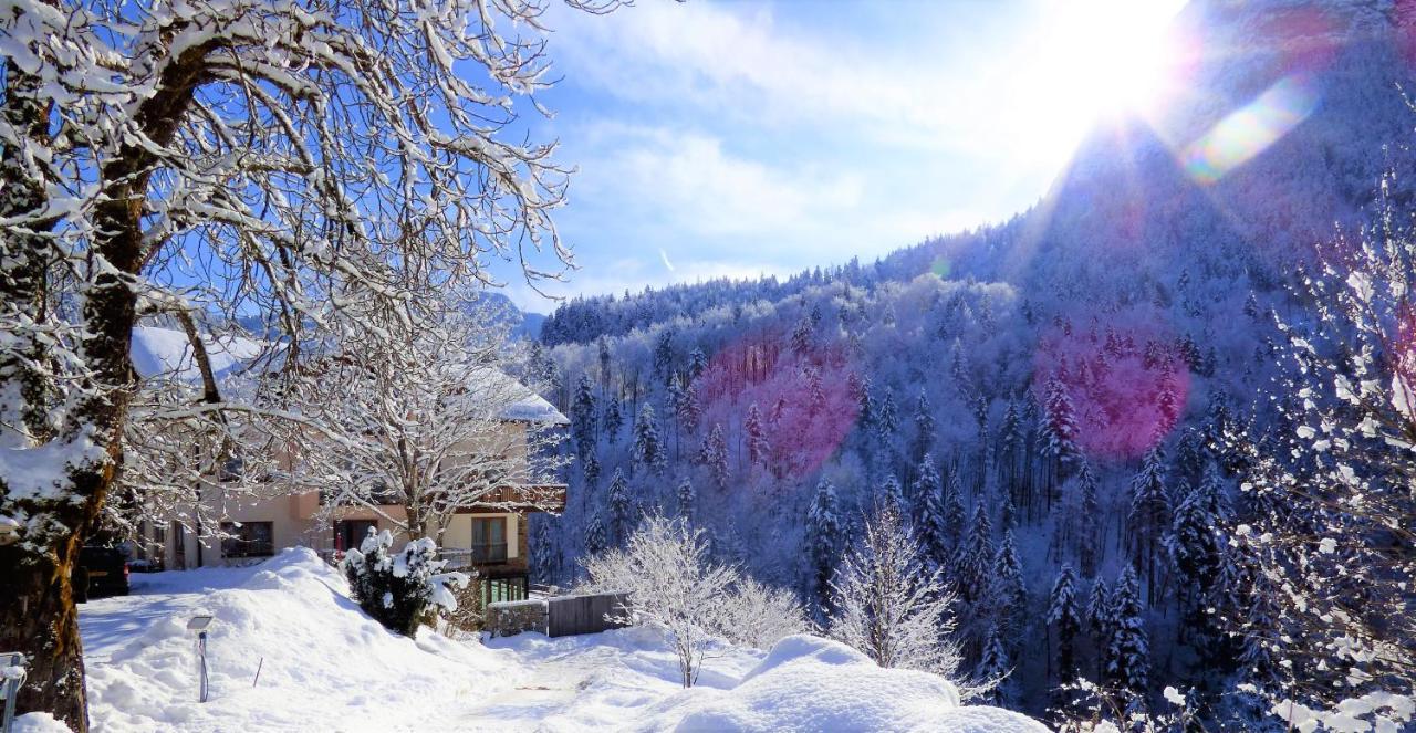 Hotel-Gasthof Mauthaeusl Шнайцелройт Екстериор снимка